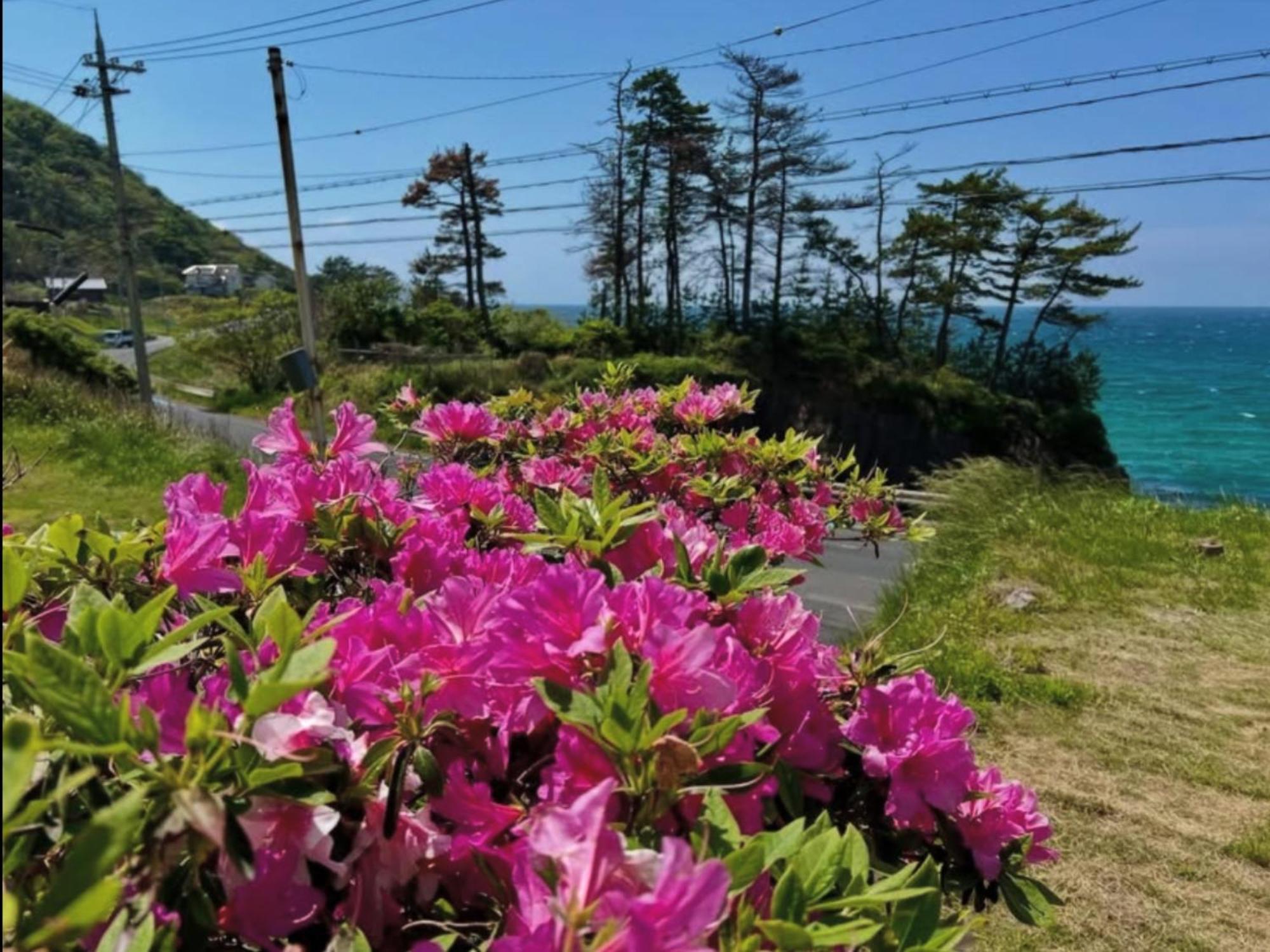 レンタルコテージサントロペ Kyotango Luaran gambar